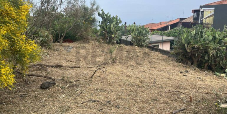 20260116194322-1018172-5