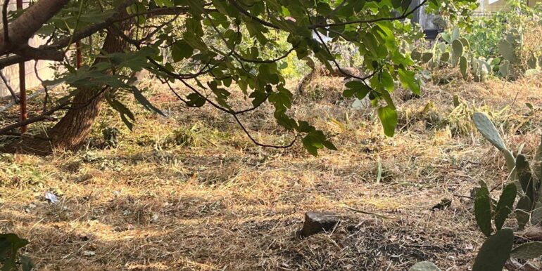 20260116194329-1018172-7