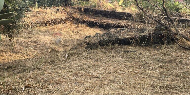 20260116194332-1018172-8