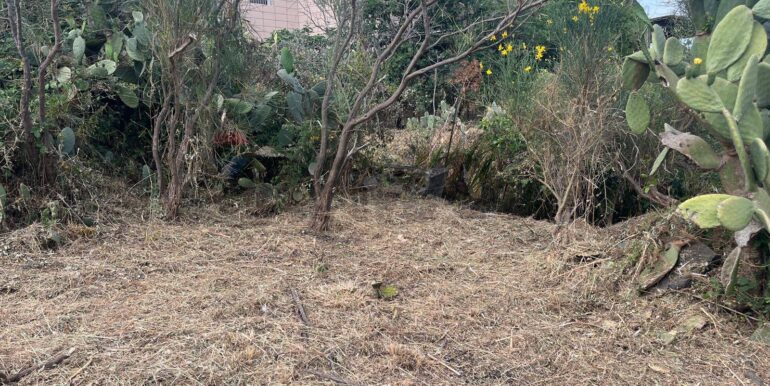 20260116194335-1018172-9