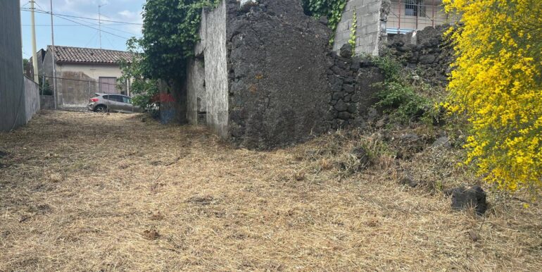 20260116194339-1018172-10