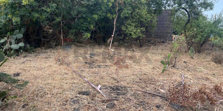 20260116194342-1018172-11