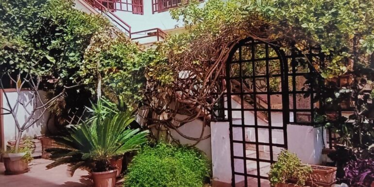 2026011894319-1016003-24