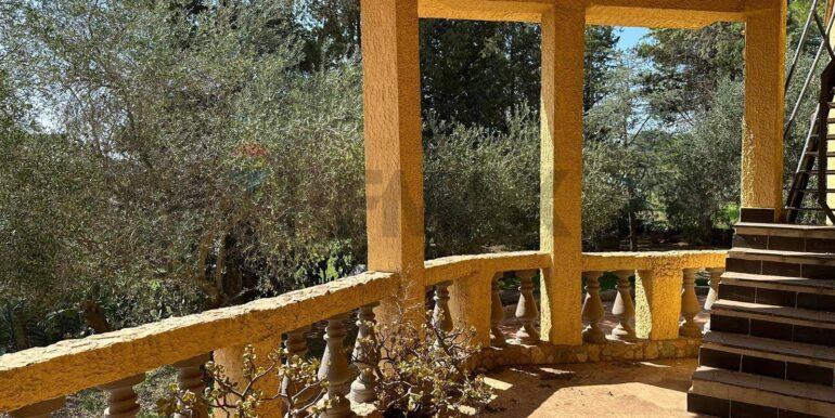 20260119233645-1018528-15