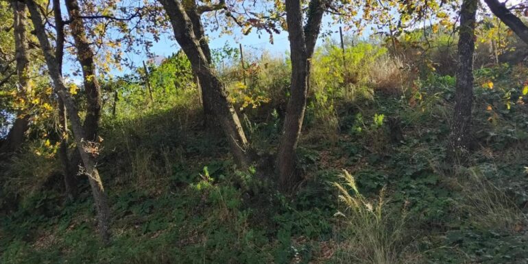 20260120104754-1018564-3