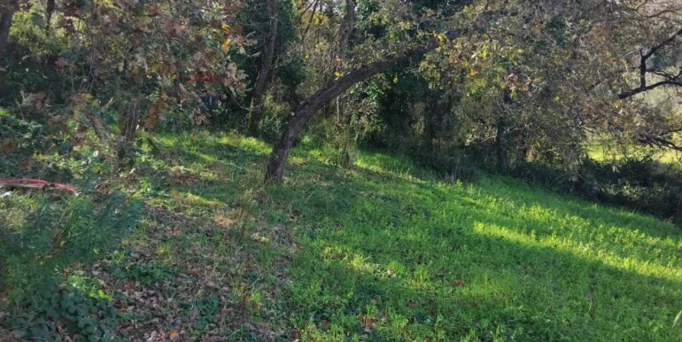 20260120104802-1018564-5