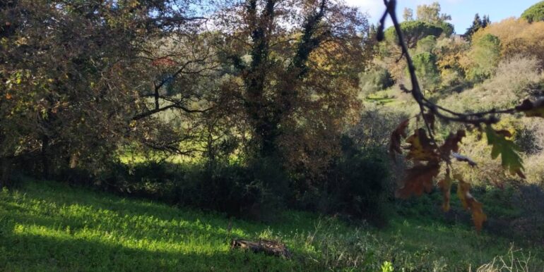 20260120104809-1018564-7