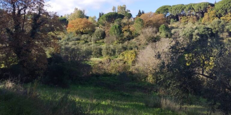 20260120104812-1018564-8