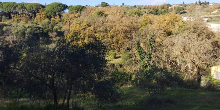 20260120104815-1018564-9