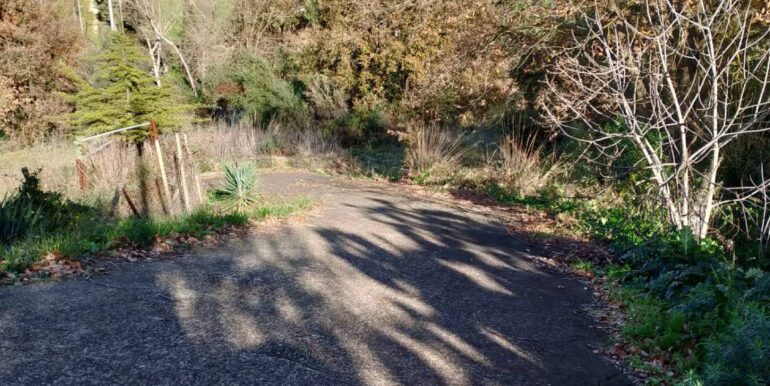 20260120104825-1018564-12