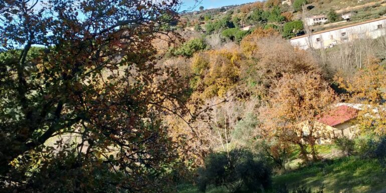 20260120104832-1018564-14