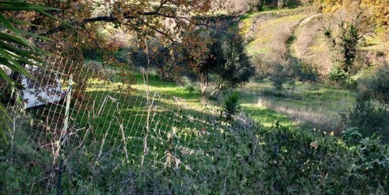 20260120104835-1018564-15