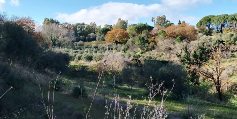 20260120104839-1018564-16