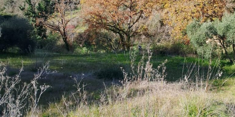 20260120104843-1018564-17