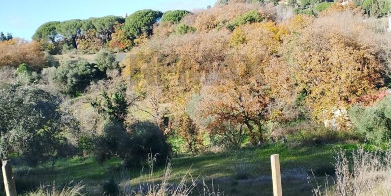 20260120104851-1018564-19