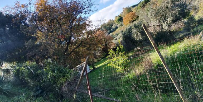 20260120104854-1018564-20