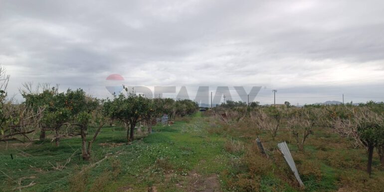 20260120144528-1018684-1