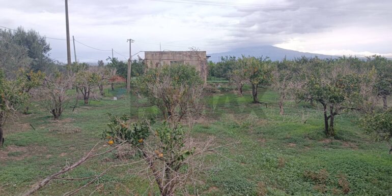 20260120144532-1018684-2