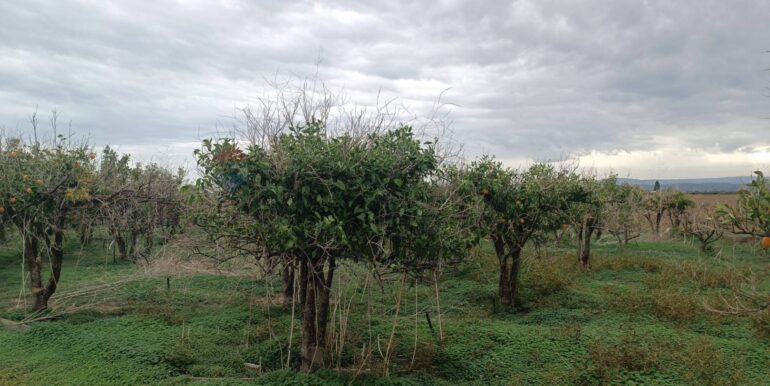 20260120144545-1018684-8