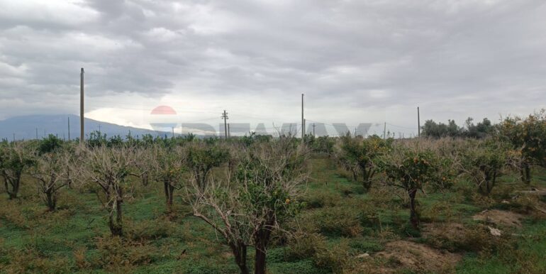 20260120144549-1018684-10