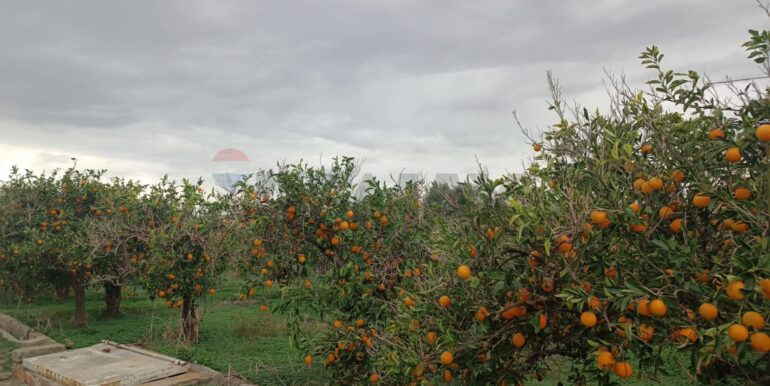 20260120144554-1018684-12