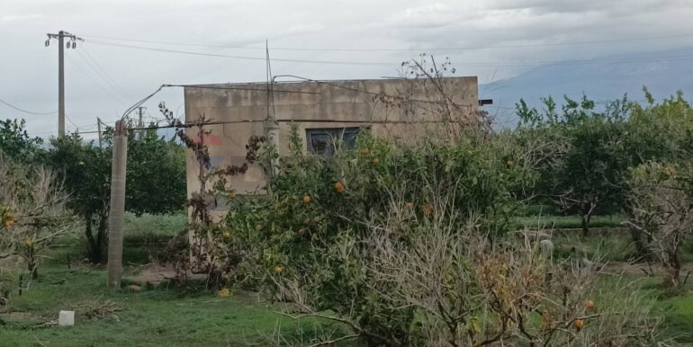 20260120144602-1018684-16