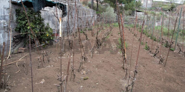 20260120152857-1018695-8