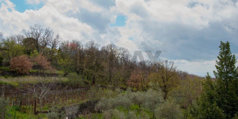 20260120152858-1018695-13