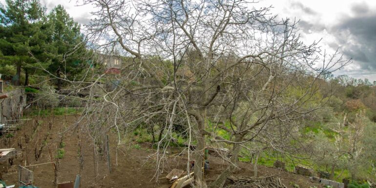 20260120152859-1018695-14