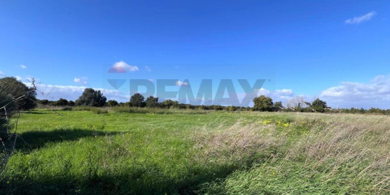 20260120163744-1018739-6