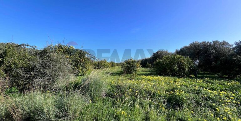 20260120163759-1018739-11