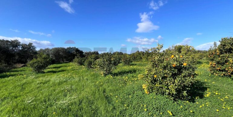 20260120163802-1018739-12