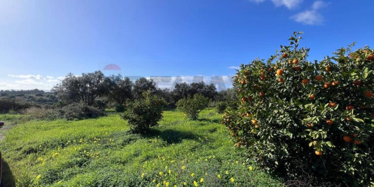 20260120163805-1018739-13