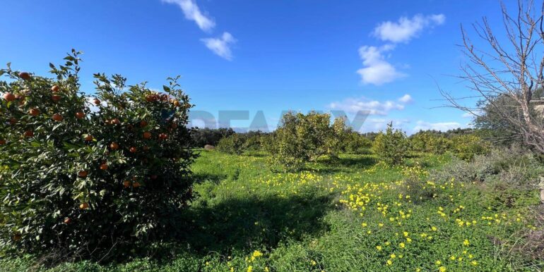 20260120163809-1018739-14