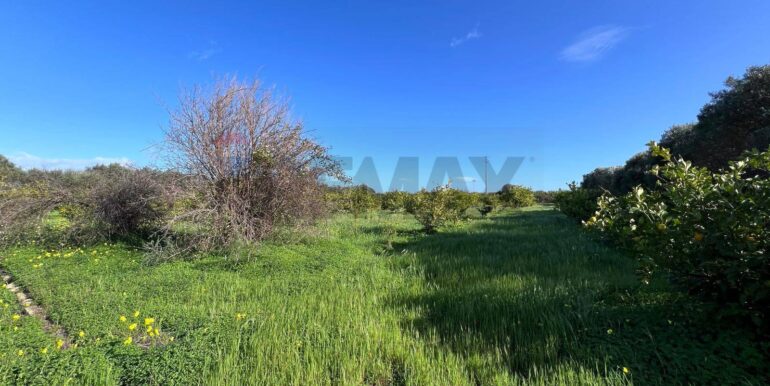 20260120163822-1018739-18