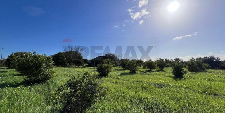 20260120163828-1018739-20