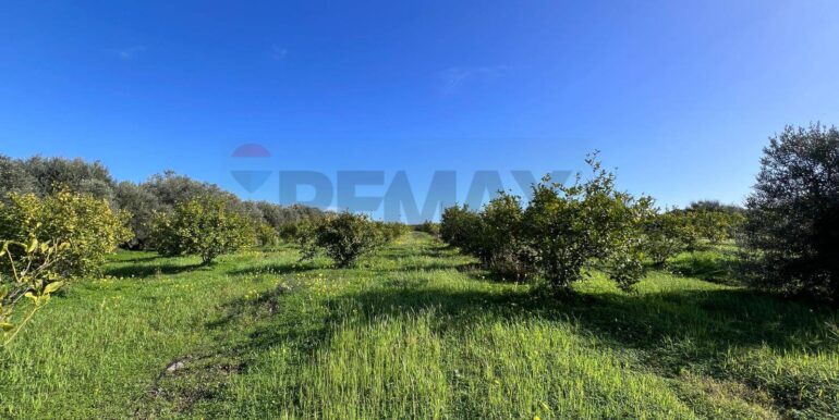 20260120163832-1018739-21