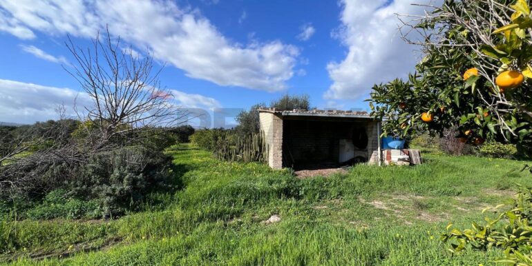 20260120164007-1018739-55