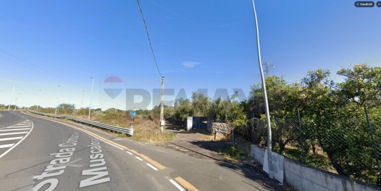 20260120164353-1018678-5