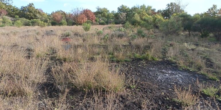 20260120164445-1018754-1