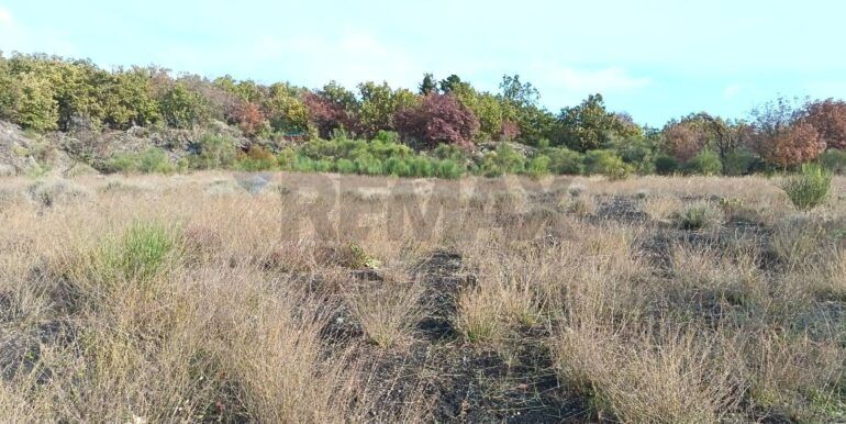 20260120164451-1018754-2