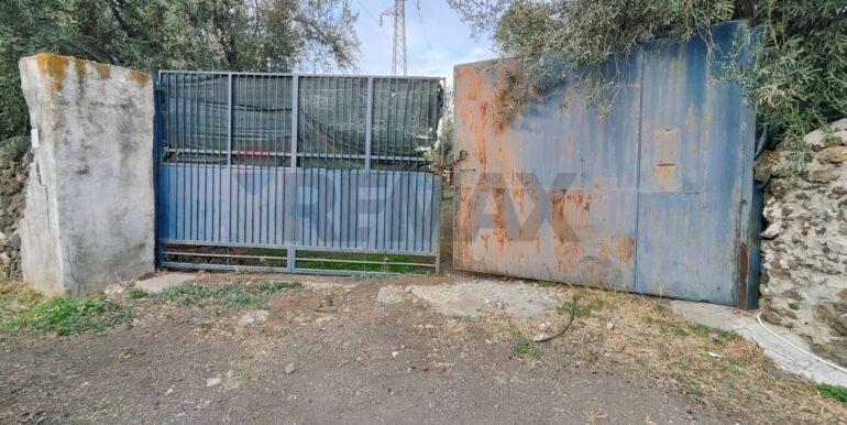 20260120165554-1018678-7