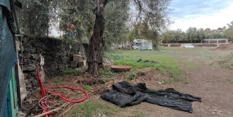 20260120165607-1018678-10