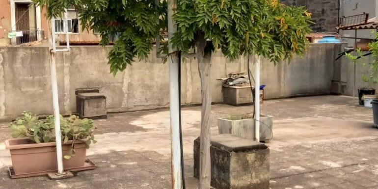 20260120201318-1018835-6