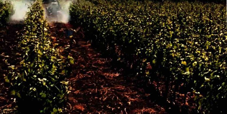 20260120202209-1018819-1