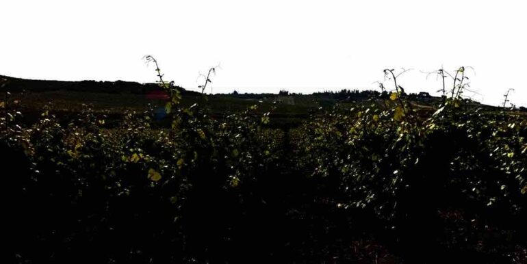 20260120202215-1018819-2