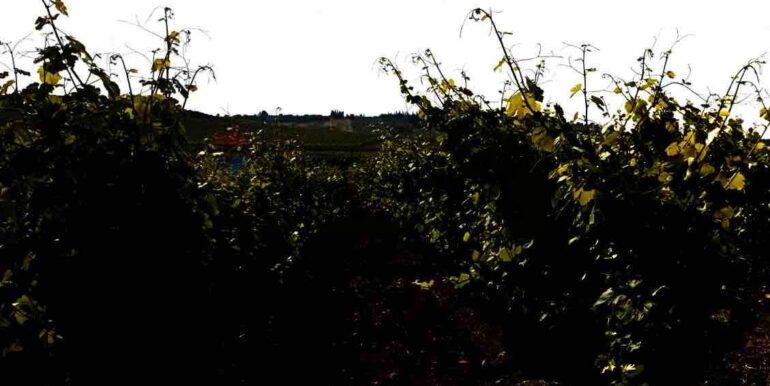 20260120202218-1018819-3