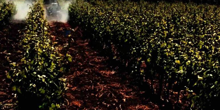 20260120202223-1018819-4