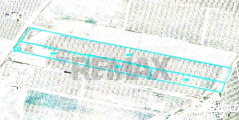 20260120202226-1018819-5