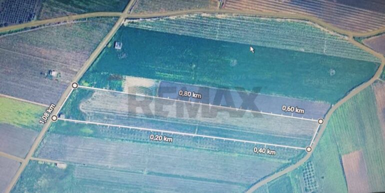 20260120202408-1018819-7